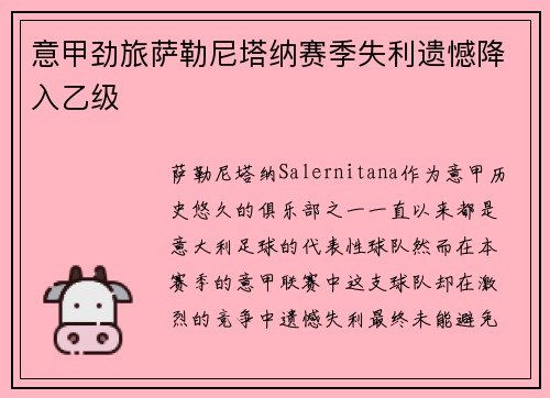 意甲劲旅萨勒尼塔纳赛季失利遗憾降入乙级