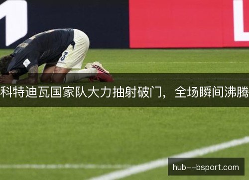 科特迪瓦国家队大力抽射破门，全场瞬间沸腾